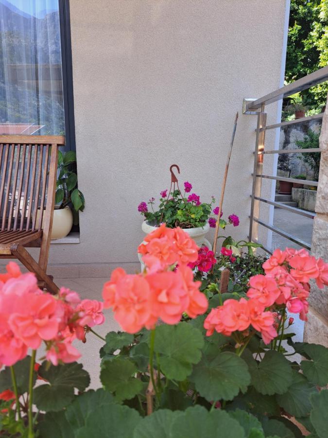 Apartment Benvenuti Kotor Exterior photo